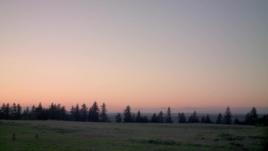 Large field lined with trees at sunset