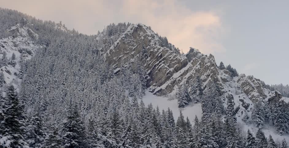 A snowy forested mountain range