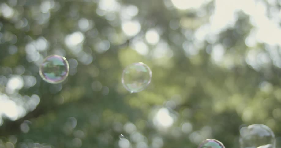 Bubbles float by under trees