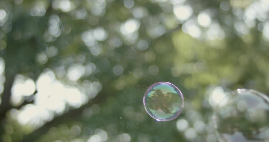 Bubbles floating in a yard on a sunny day
