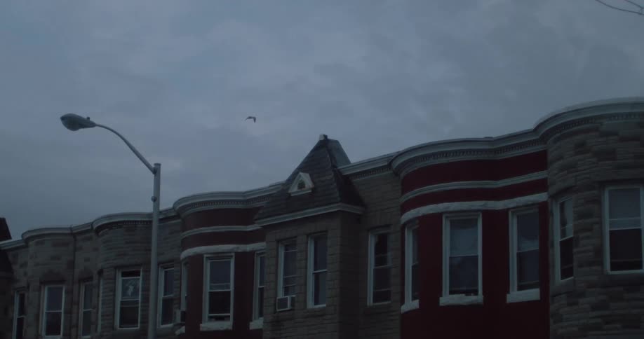 A bird flies on an overcast day in the city