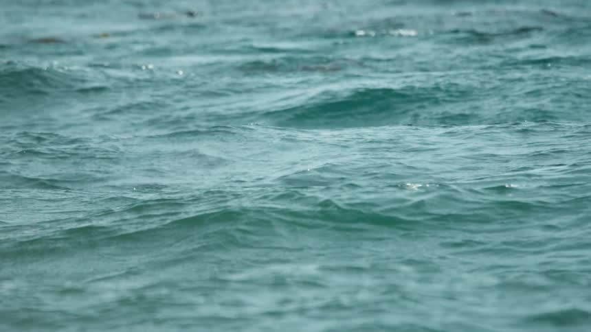 Waves roll in the ocean
