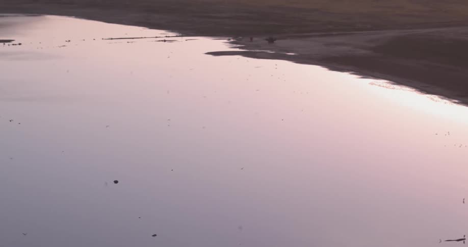 Birds fly over a lake at sunset