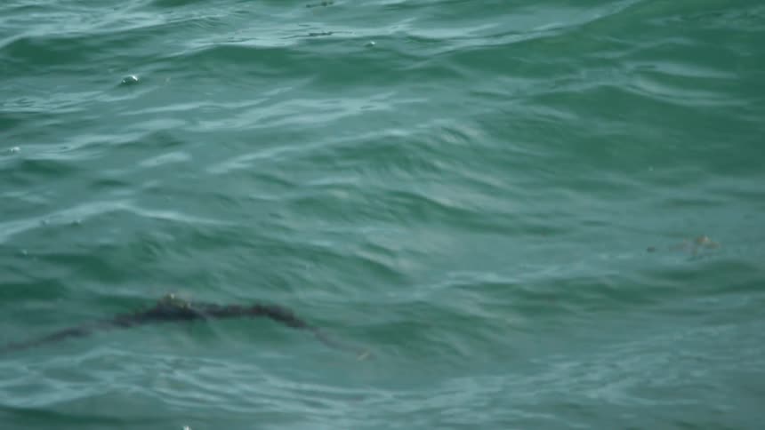 Ocean water ripples and flows