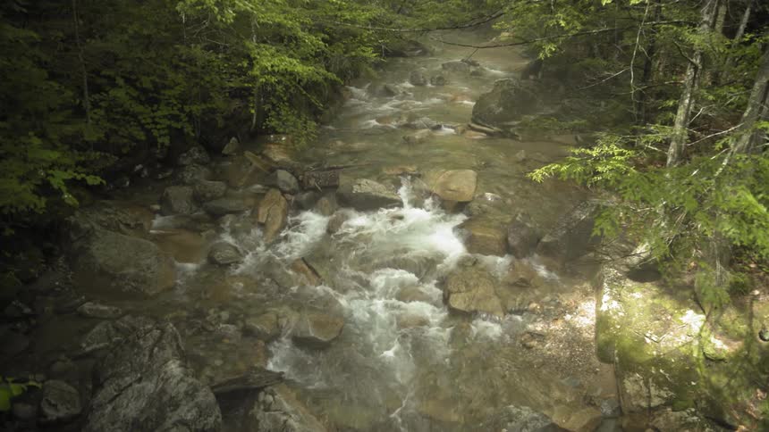 Water rushes over rocks in a forest stream