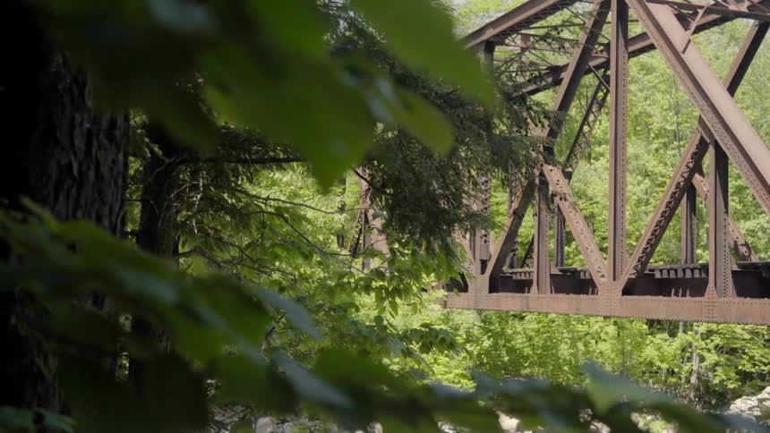 A trestle bridge spans over a stream in a forest