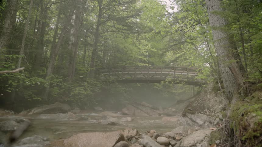Mist hangs over a stream in a forest running beneath a bridge