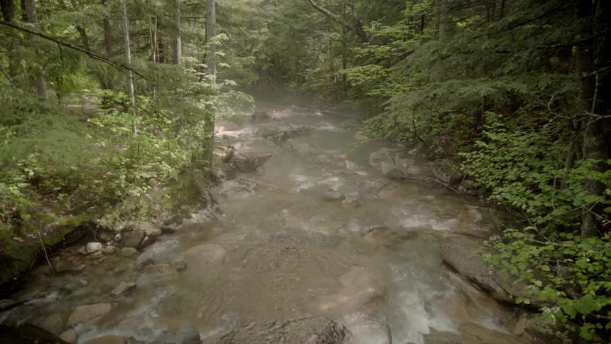 Mist hangs in the air above a fast flowing stream in a forest during the day