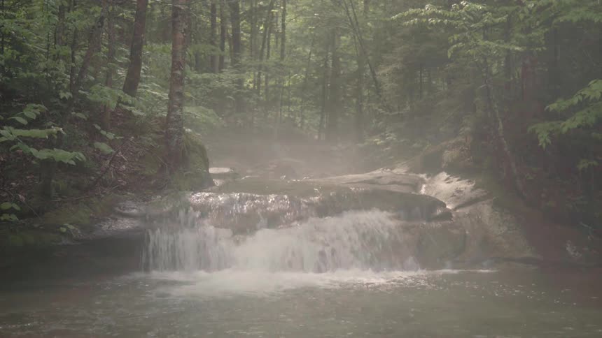 Mist hangs over a stream in a forest as it cascades over rocks