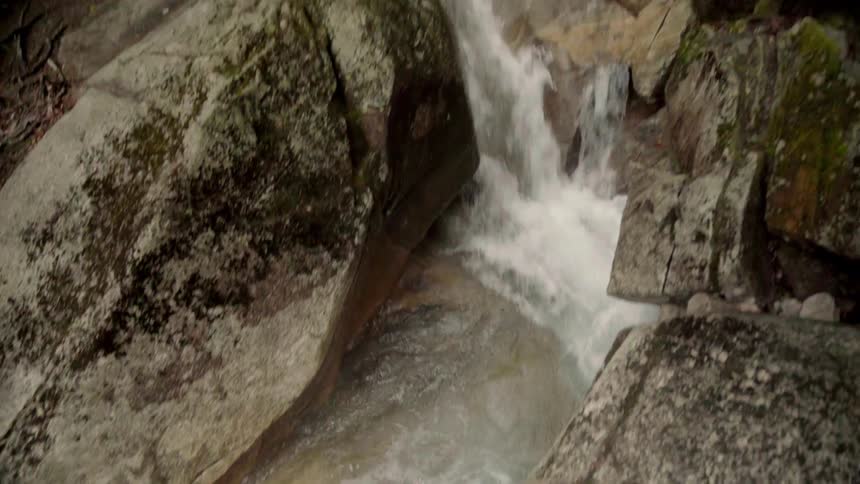 A forest stream rushes between boulders