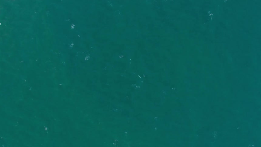 Bubbles disperse on the surface of the water