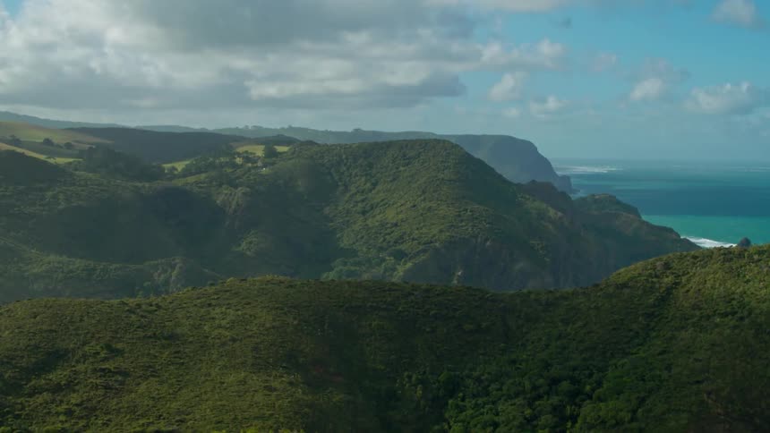 Clouds hover over cliffs covered in trees on a coastline