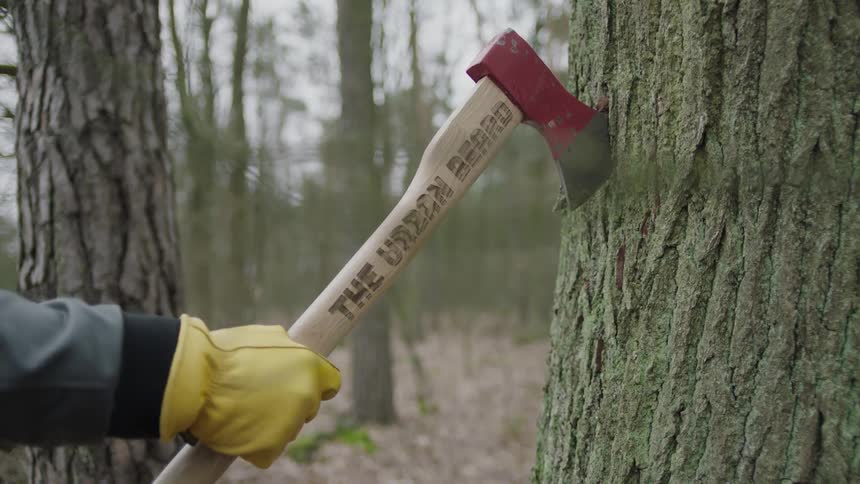 Gloved hand pulls an ax out of a tree trunk