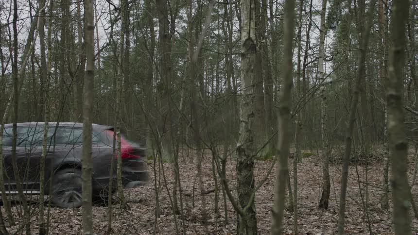 An vehicle is driving through a forest in autumn