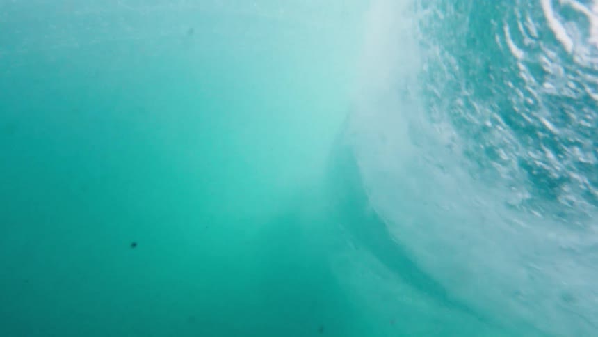 A wave builds and crests