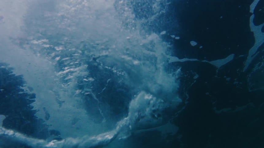 Bubbles float under the water's surface