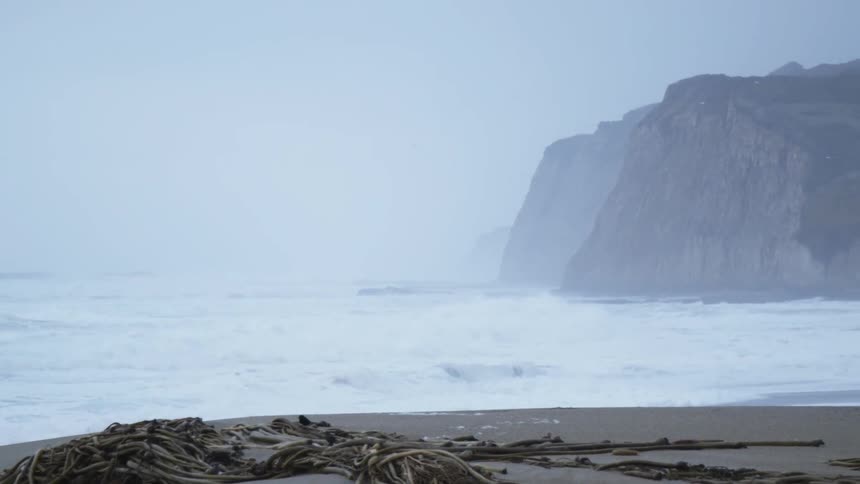 A bird flies above ocean waves on the shore