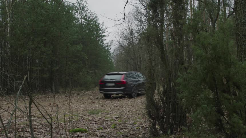 Car drives through a forest