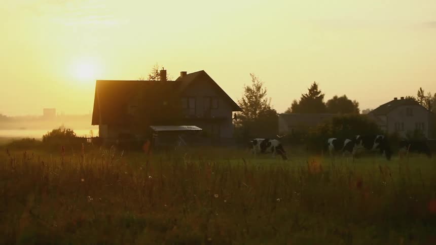 A house in a field
