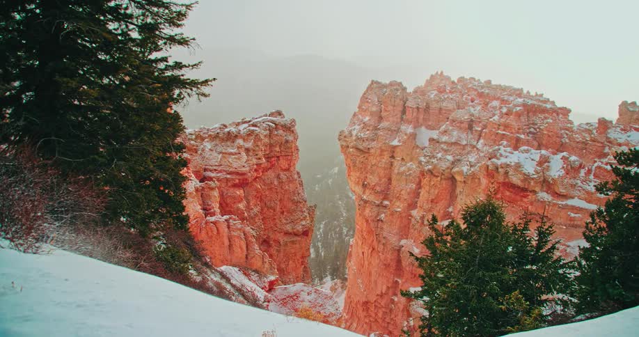 Snow falls on pine trees and rock pillars in a canyon during the day