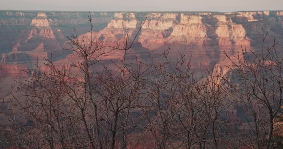 Overlooking the grand canyon from a hillside