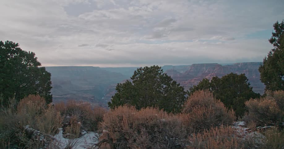 Scrubby bushes overlooking a valley