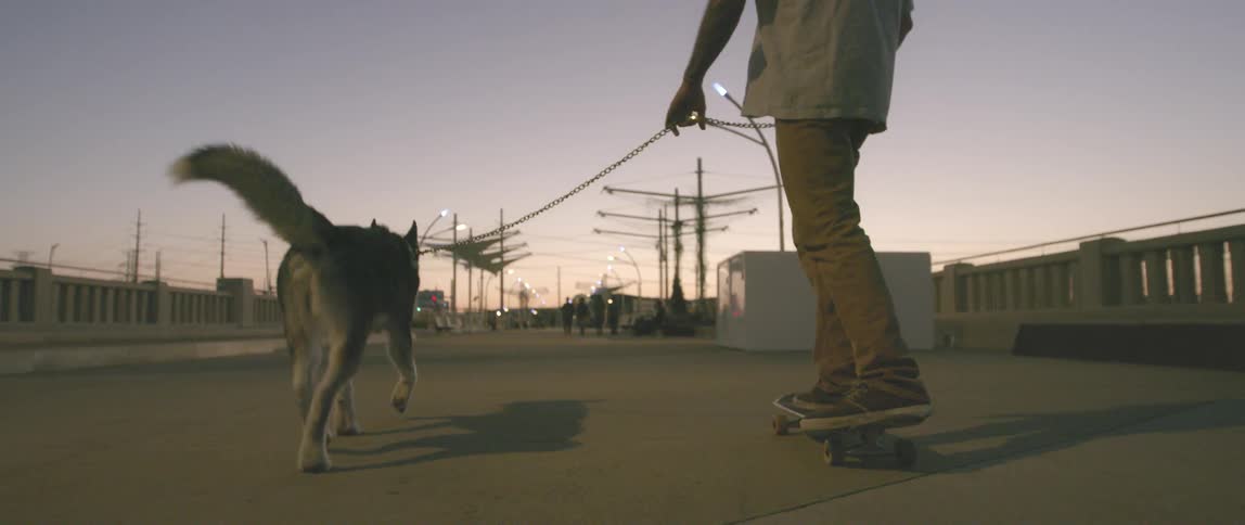 A man rides a skateboard while leading a dog