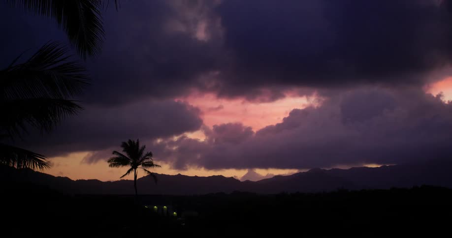 Dark clouds over palm trees at sunset