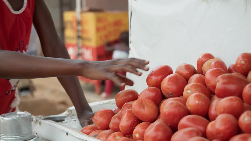 A boy stacks tomatoes