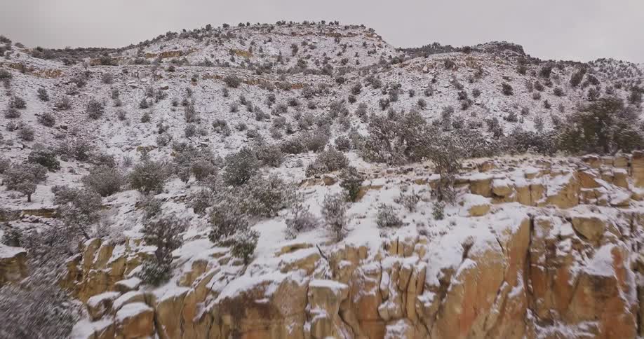 Trees cover the snowy mountains