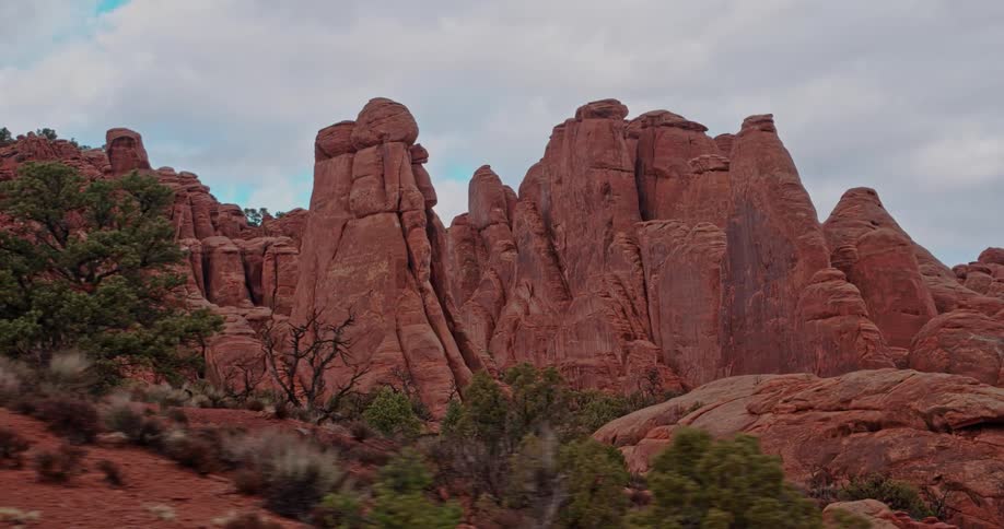 The canyon is full of tall rocks and some vegetation