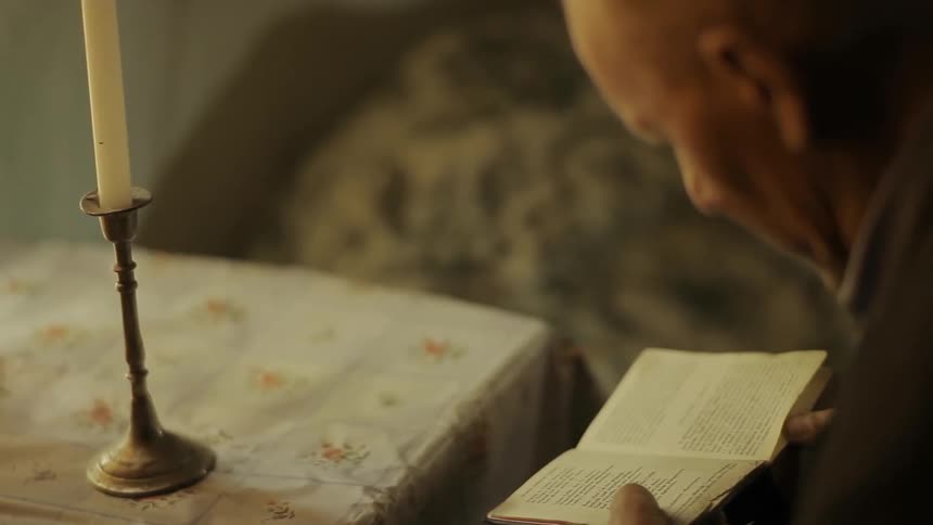 A person reading a book