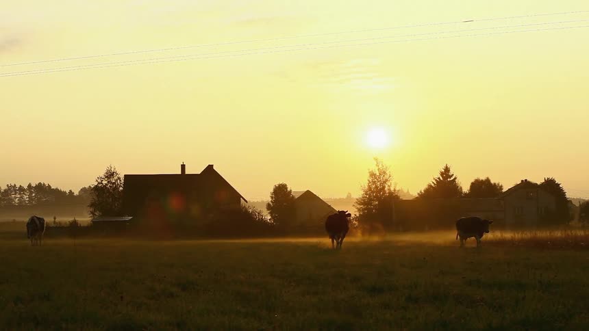 Sunset on a farm