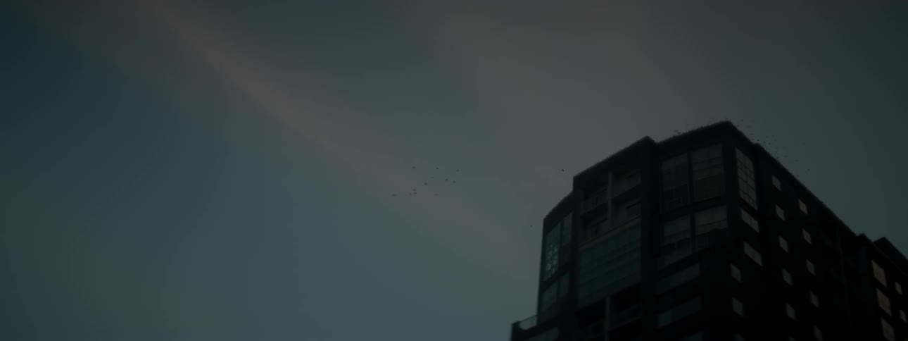 Birds fly over a tall building