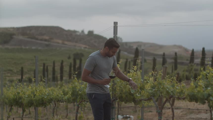 Man holds glass of wine in a vineyard