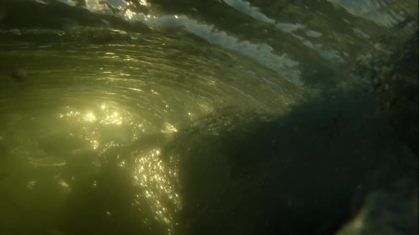 A wave crests and crashes