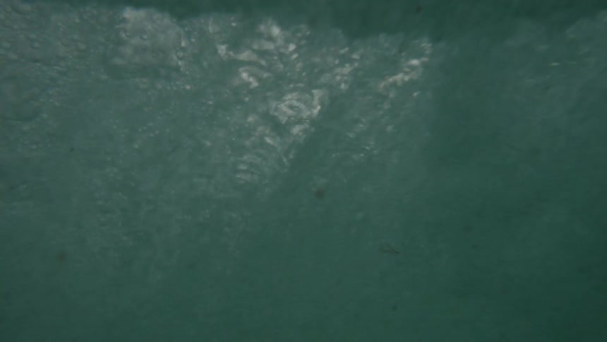 A tall wave crests in the ocean