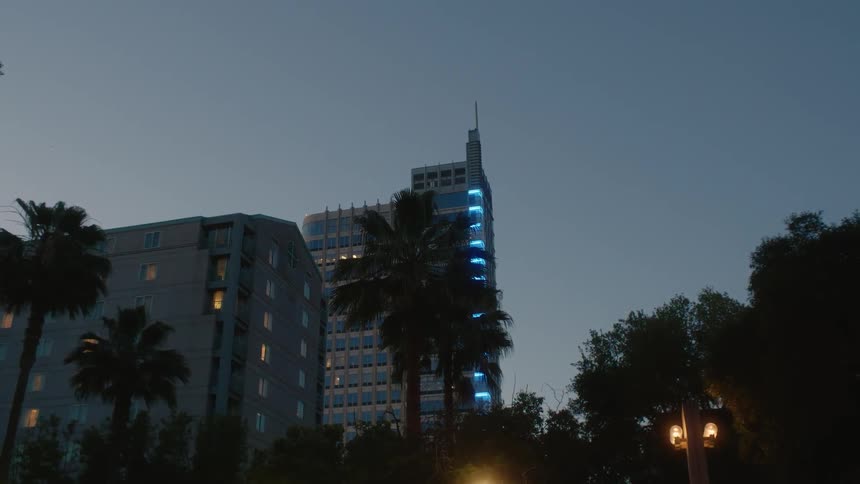 A large building with palm trees around it at night