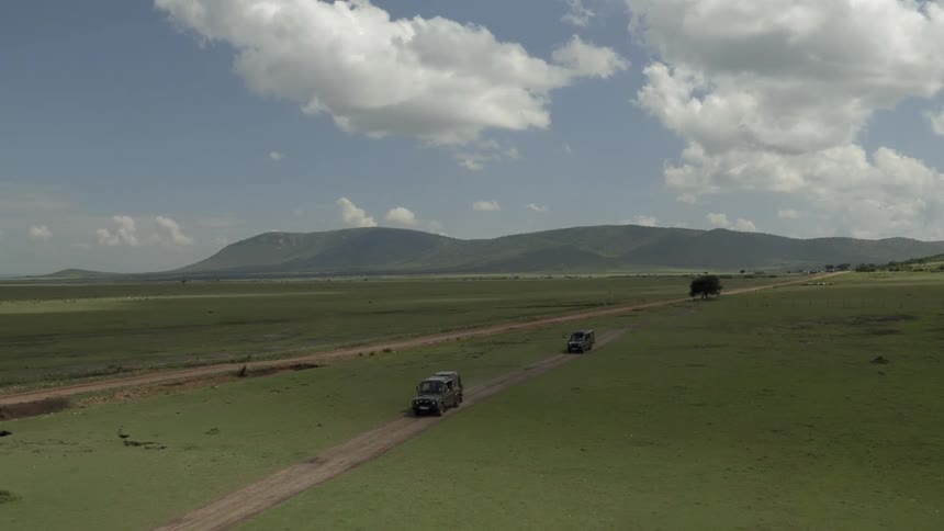 Two trucks travel on a dirt road in the safari