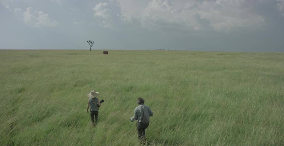 Photographers walk in a field