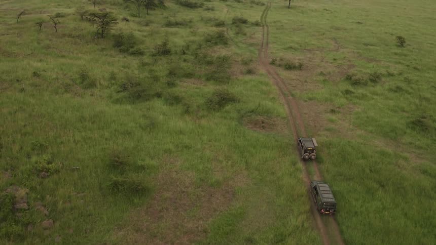 Two trucks travel on a dirt road in the safari