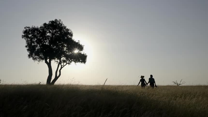 Two people walk through a field towards a lone tree