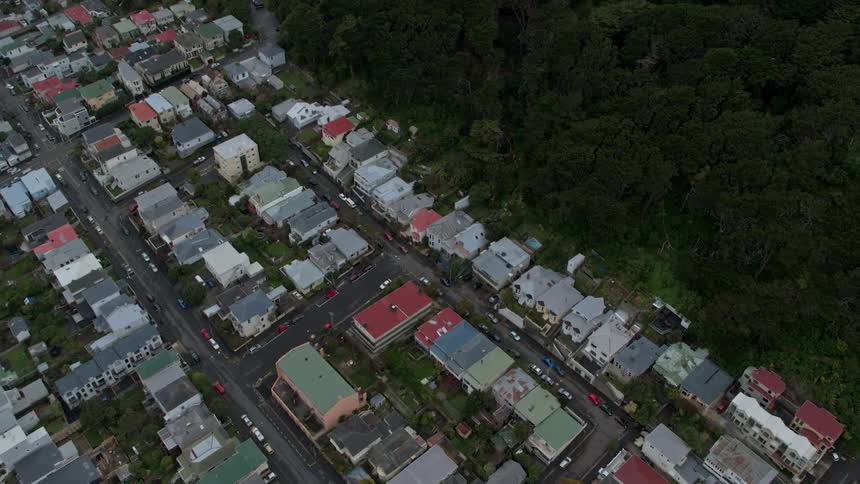 The neighborhood is lined with trees
