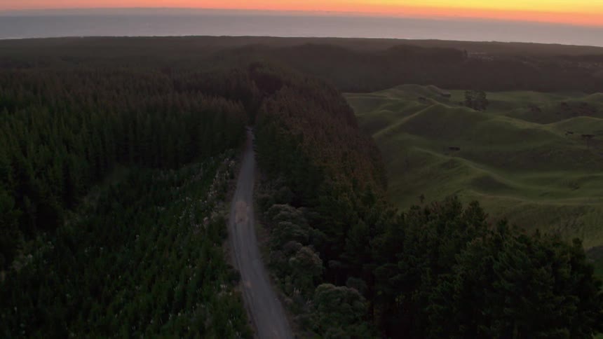 Trees cover the hilly landscape on each side of a road