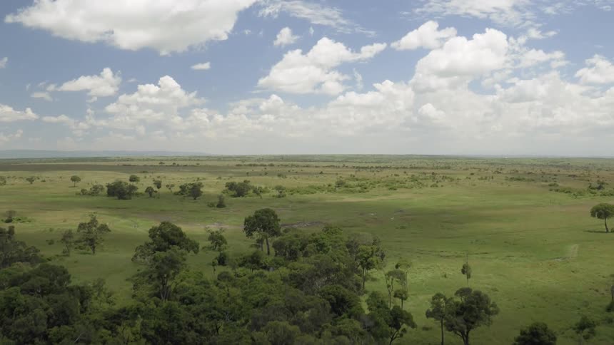 Clouds cast shadows on a remote landscape dotted with trees