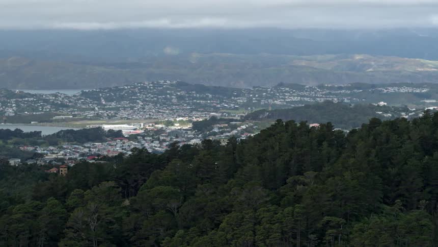 Trees cover the hilly landscape