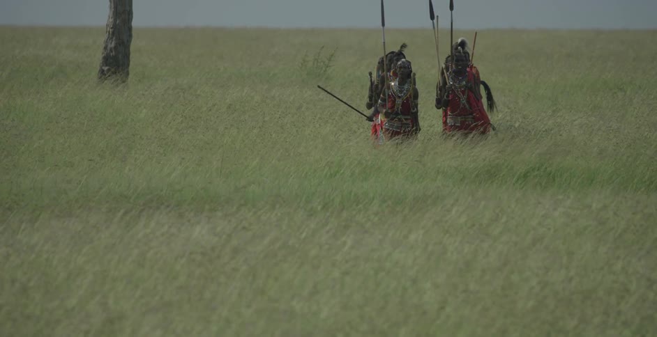 A group of maasai carrying spears dances as they move across the savanna
