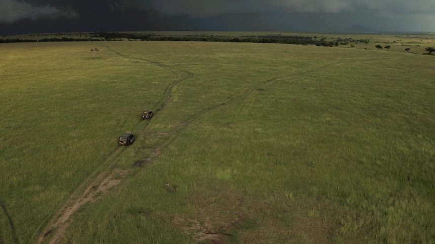 Two trucks travel on a dirt road in the safari