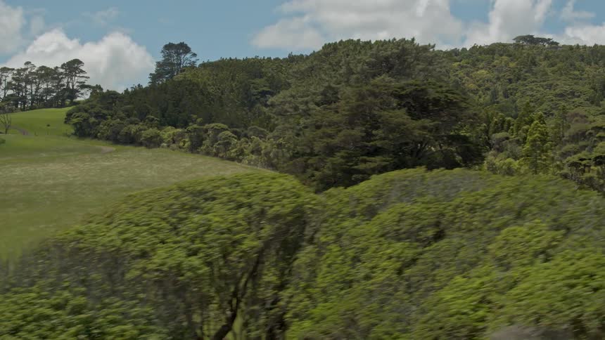 Trees cover the landscape