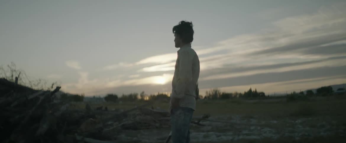 A man looking over a field at dawn